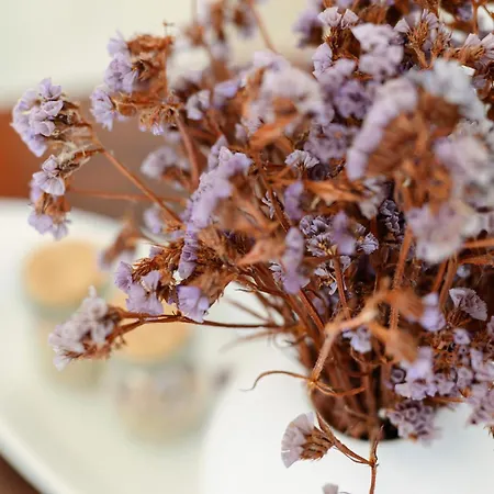 Naxos Kastraki Homey With Sea View Tatil Evi *