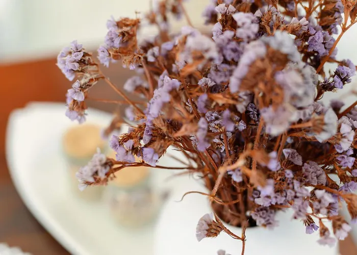 Naxos Kastraki Homey With Sea View بيت للعطل *